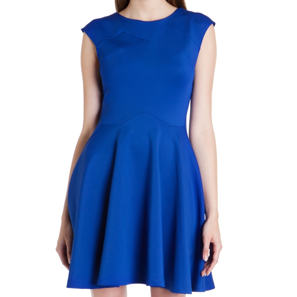 Blue Ted Baker London ARWYN Dress